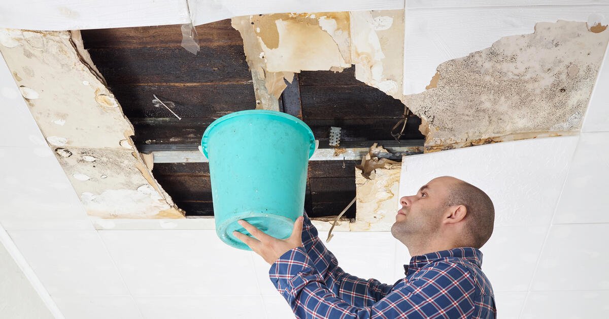 How to Choose the Best Water Damage Restoration Company in Wilmington, NC