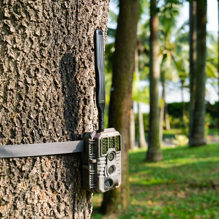 Who Can Benefit from a Cellular Trail Camera?