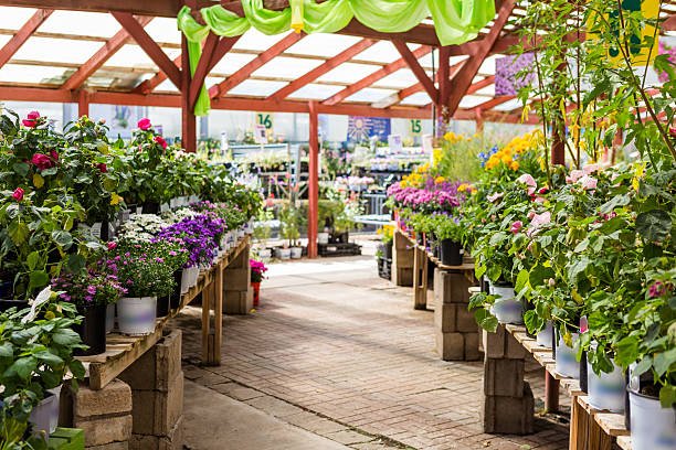 Top 5 Tips for Starting Your Home Garden Nursery